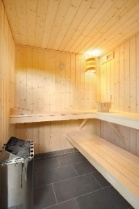 Sauna (<span style="color:red;">Aufpreis+++++</span>)